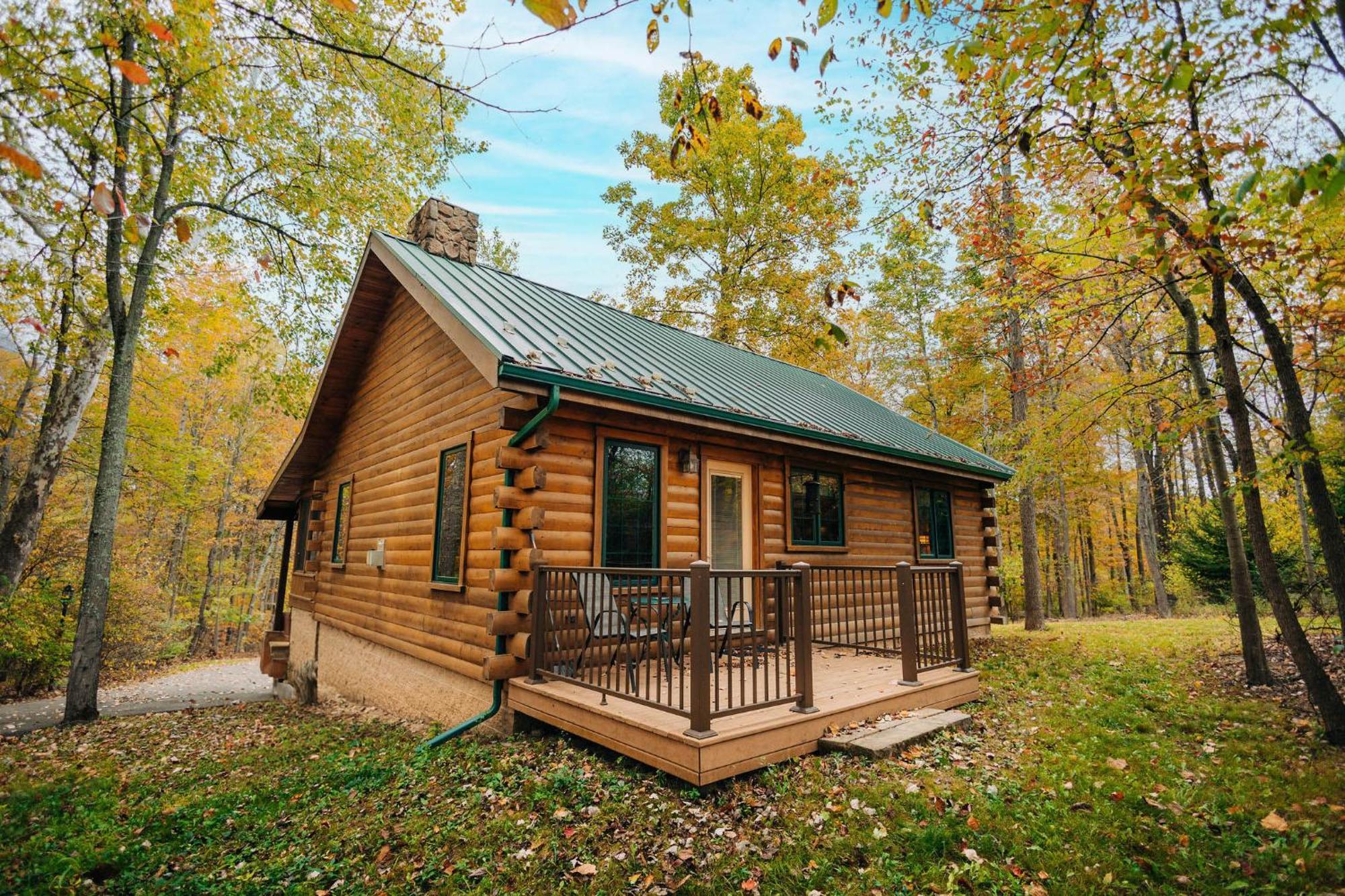 Ferngully Creek Cabins Millersburg Bagian luar foto